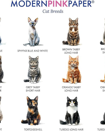 Personalized Stationery Folded Note Cards With Cats, FOLDED Watercolor Cat Stationery Card and Envelopes Set, Custom Gifts For Cat Lovers, Kitten Notecards, Your Choice of Colors and Quantity