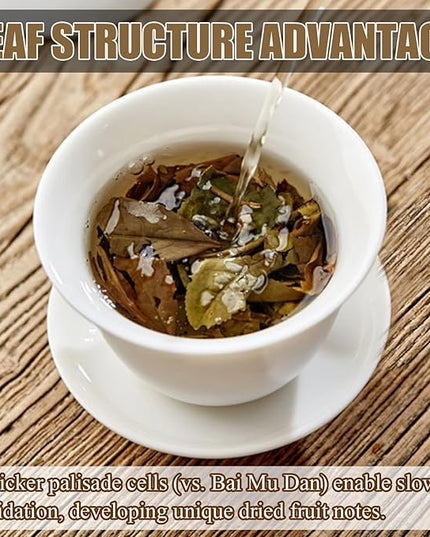 Organic White Tea Loose Leaf- Organic Loose Leaf Tea White Leaves Earthy Flavor Rich Antioxidants,300g /10.580z, No Additive,From 2019 Chinese Fujian Natural WildernessLeaves for Gifting, Daily