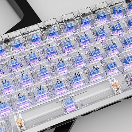 Outemu Blue Switch Replacement Mechanical Keyboard Switches,Clickers for 3D Prints,Dustproof,3 PIN Clicky,Accurate Typing,DIY Keyboard,Gaming Keyboard with1 Kailh Box White Pro Switches(35+1Pcs)