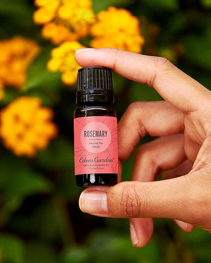 Edens Garden Rosemary Around The World Essential Oil- 100% Pure Premium Grade, Undiluted, Natural, Therapeutic, Aromatherapy, The Best for Skin, Face, Humidifiers 10 ml (.33 fl oz)