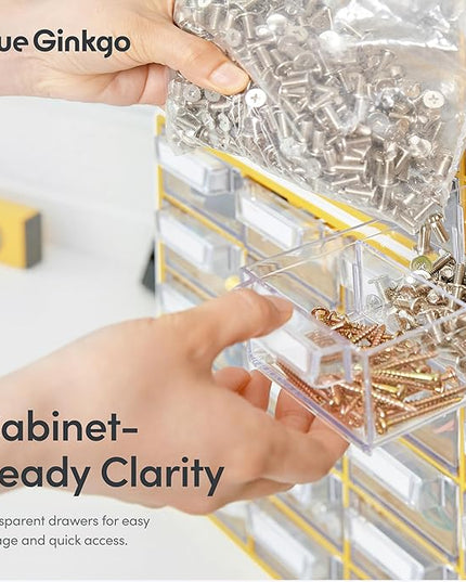 Blue Ginkgo Small 20-Drawer Cabinet – Stackable Clear Organizer for Hardware, Beads, Plastic Bricks, Office, and Craft Storage (Made in Korea, Gray)
