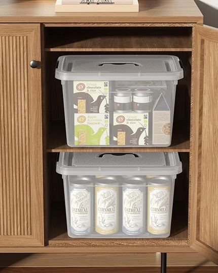 4 Packs 20 L Clear Plastic Storage Bins, Stackable Organizer Containers with Lids, Latching Box with Handle