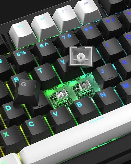 XVX Black and White Keycaps, Shine Through PBT Keycaps Cherry Profile, Custom Key caps Doubleshot 124 Keys Set, Universal Compatiability for 60%, 65%, 75%, 100% Keyboard
