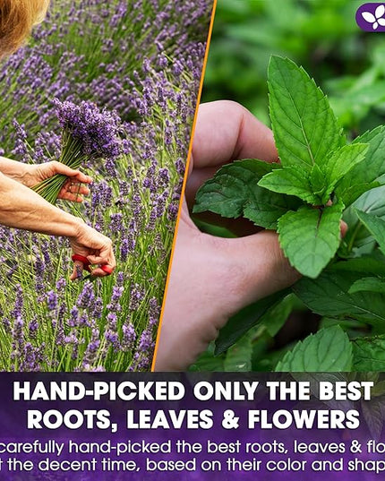 FreshDrinkUS, Premium 55 Tea Bags Lavender Mint Tea, 100% Natural, Blend of Lavender, Peppermint, Sage and Licorice. Made with Natural Material Tea Bags. No Sugar, No Caffeine, Vegan.
