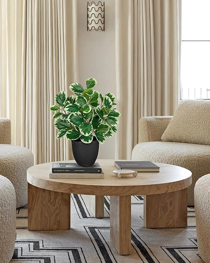 Villa Como 14.5" Artificial Plants Indoor Home Decor, Fake Potted Silk Plants for Shelves Living Room Decorative, Small Artificial Office Desk Plant in Pots, Faux Peperomia Hope Tropical House Plant
