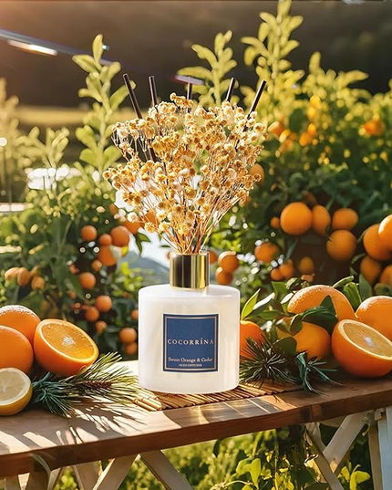 COCORRÍNA Reed Diffuser - Sweet Orange & Cedar 6.7 Fl.oz Reed Diffuser Set with Sticks & Preserved Baby's Breath, Reed Diffuser for Home Bathroom Shelf Decor