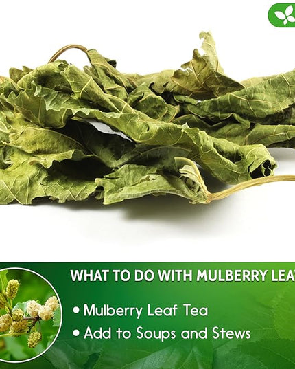 FreshDrinkUS, Permium 8oz Mulberry Leaves, 100% Natural & Pure from Mulberry Leaves, Loose Leaf Herbal Tea, No Additives, No Caffeine, Vegan