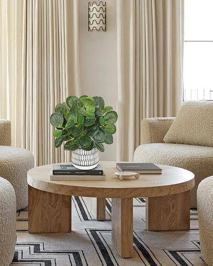 12" Artificial Plants Indoor Small Fake Plant in Ceramic Pot, Silk Plants for Home Decor Indoor, Faux Peperomia Potted Plant for Shelves, Desks, Home, Room, Office, Bedroom, Entryway, Tabletop Decor
