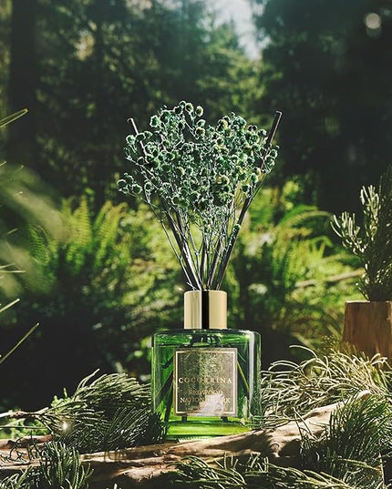 COCORRÍNA Reed Diffuser - Redwood National Park 6.7 Fl.oz Reed Diffuser Set with 8 Sticks & Preserved Baby's Breath, Reed Diffuser for Home Bathroom Shelf Decor