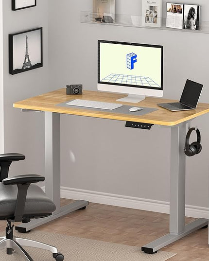 FLEXISPOT EN1 One-Piece Height Adjustable Desk 48 x 30 inch Electric Standing Desk for Home Office (Silver Frame + 48" Natural Top, 2 Packages)