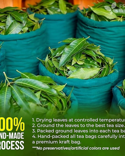 FreshDrinkUS, Premium 60 Mango Leaf Tea Bags, 100% Natural & Pure from Mango Leaves. Loose Leaf Herbal Tea. No Sugar, No Caffeine, No Gluten, Vegan.