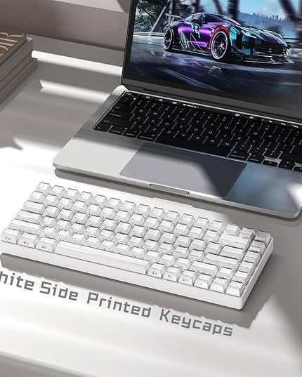 Womier Keycaps - Jelly Keycaps White 60 65 75 100 Percent, Side Printed Elegant Crystal Key caps, Custom 113 Keys OEM Profile for 61/68/84/87/98/100 Cherry Gateron MX Mechanical, White