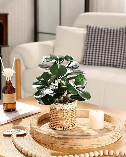 Nubry 2 Pack Fake Plants Artificial Potted Plants with Weaved Pot for Shelf & Table Desk | Perfect for Home Office Bathroom Farmhouse Room Coffee Table Decor 10‘’