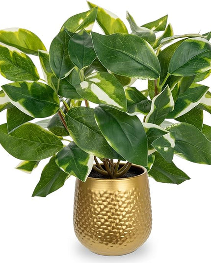 Oairse Articicial Plants Indoor Small Fake Plants in Pots Faux Pothos N‘ Joy Potted Plant Fake Indoor Plants with Gold Pots for Bathroom Living Room Office Desk Shelves