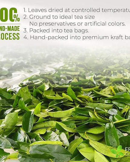 FreshDrinkUS, Premium Soursop Graviola Leaf Tea | 45 Tea Bags form Powder, 100% Natural and Pure, Handmade, Made With Natural Materials-Corn Fiber Tea Bag, Sugar/Caffeine Free, Hoja Guanabana Tea