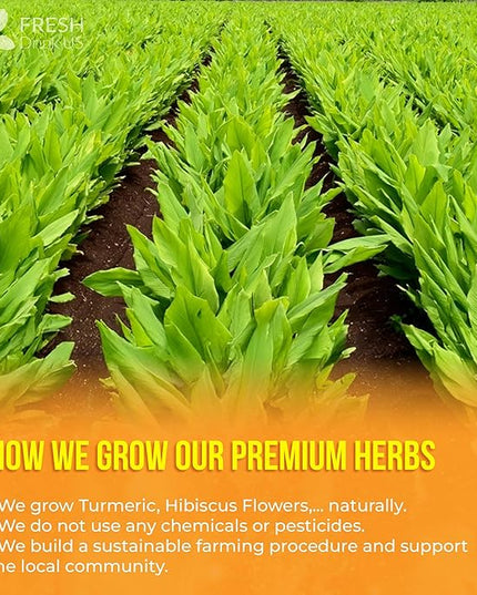 FreshDrinkUS, Premium Harmony Herbal Tea | 60 Tea bags | 100% Natural Turmeric, Hibiscus, Ashwagandha, Goji Berry, Reishi, Cinnamon & Orange Peel – Naturally Aromatic Caffeine-Free Tea