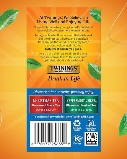 Twinings Winter Spice Herbal Tea Individually Wrapped, 20 Count (Pack of 1), Camomile, Apple, Cinnamon, & Clove, Naturally Caffeine-Free, Enjoy Hot or Iced, 20 Teabags