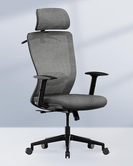 FLEXISPOT Classic Ergonomic Office Chair with High Back Swivel Computer Chair Executive Office Desk Chairs, with Lumbar Support/2D Headrest/Lockable Tilt Function, Foam Seat Cushion, Gray