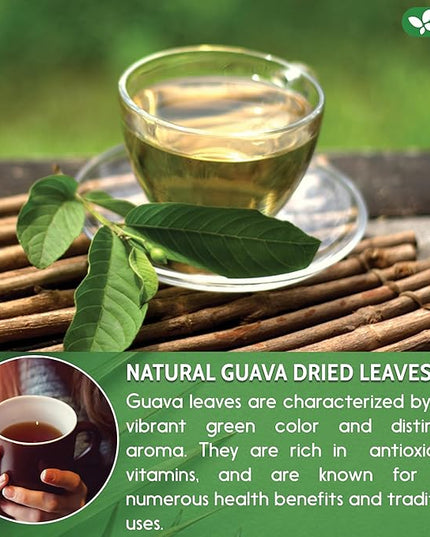 FreshDrinkUS, Premium 50+ Natural Guava Leaves, Whole Dried Leaves, 100% Pure, Natural Guava Loose Leaf Herbal Tea, Non GMO, No Additives, No Caffeine, Vegan