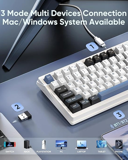 RedThunder K95 Wireless Mechanical Keyboard, TFT Screen & Knob, Tri-Mode BT5.0/2.4GHz/USB-C Hot Swappable Custom, Pre-lubed Linear Switches, Gasket Structure, RGB Gaming Keyboard, Snowy White-Blue