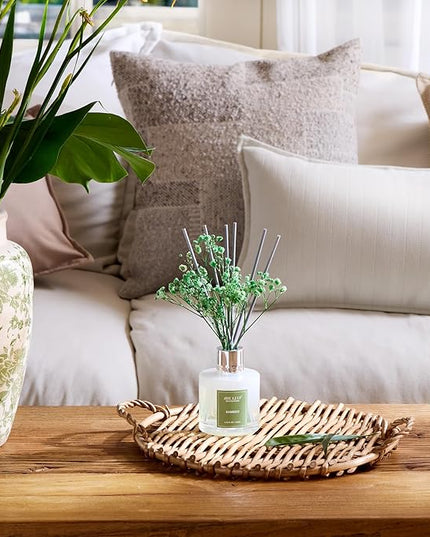 Airkeep Reed Diffuser Set - 3.38 fl oz(100ml) Bamboo Scent Diffuser Home Fragrance Diffuser Set Includes 8 Reed Diffuser Sticks,Home Decor & Office Decor, Fragrance and Gifts