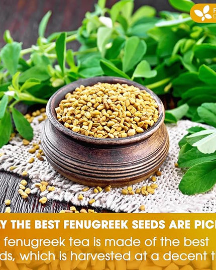 FreshDrinkUS, Premium 15 Tea Bags Fenugreek, 100% Natural & Pure from Fenugreek. Fenugreek Herbal Tea. Made with Natural Material Tea Bags. No Sugar, No Caffeine, No Gluten, Vegan.