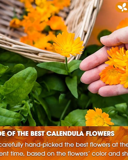 FreshDrinkUS, Premium 135 Calendula Tea Bags, 100% Natural and Pure Calendula Flowers, Eco-conscious Tea Bags. Herbal Tea. No Sugar, No Caffeine, No Gluten, Vegan.