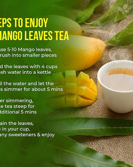 FreshDrinkUS, Premium 140+ Mango Whole Leaves Dried, 100% Natural & Pure from Dried Mango Leaves Tea, No Additives, No Caffeine, Vegan