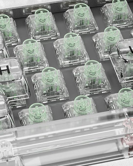 Kailh Box Jellyfish PRO Fully Transparent RGB Clicky Mechanical Keyboard（Jade Jellyfish 72pcs）