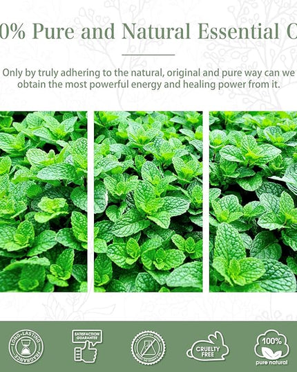 Spearmint 3.38fl.oz Essential Oil, PHATOIL Pure Aromatherapy Oils for Diffuser, Humidifier, Perfect for DIY Soap, Candle, Bath Bombs Making(100ml)