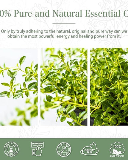 Thyme 3.38fl.oz Essential Oil, PHATOIL Aromatherapy Essential Oils for Diffuser, Humidifier, Perfect for DIY Soap, Candle, Bath Bombs Making(100ml)