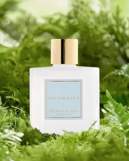 COCORRÍNA Reed Diffuser - Wild Mint & Eucalyptus 6.7 Fl.oz Reed Diffuser Set with Sticks & Preserved Baby's Breath, Reed Diffuser for Home Bathroom Shelf Decor