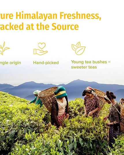 NEPAL TEA Organic White Tea Loose Leaf - USDA Certified Organic from a Family Farm in the Himalayas - Award-Winning Premium Tea Leaves to Enjoy Hot or Cold – 3.5oz /100g (White Prakash)