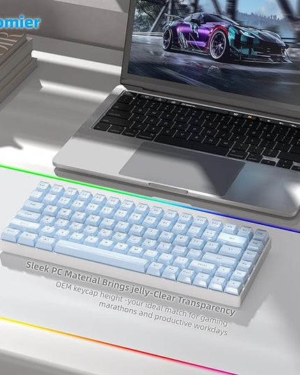 Womier Jelly Keycaps, Mechanical Keyboard for keycaps Set, OEM Profile Clear Key Cap, 113-Key Blue Cute Custom Keycaps for 60%,75%,100% Mechanical Keyboards with Cherry/Gateron MX Switches