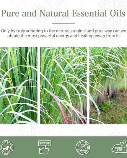 PHATOIL 100ML Lemongrass Essential Oil, 3.38FL.OZ Essential Oils for Diffuser, Humidifier, Relax, Aromatherapy, Lemongrass Oil Scented Oils for Soap, Candle Making