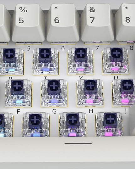 Kailh Box Navy Switches for Mechanical Gaming Keyboard,3-Pin 60gf Clicky/Factory Lubed/IP56 Dust&Waterproof Switches(Kailh Box Navy,72Pcs)