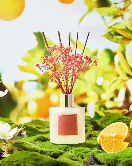 COCORRÍNA Reed Diffuser - Orange Blossom 6.76 Fl.oz Reed Diffuser Sets with Preserved Flowers, Diffuser with 8 Sticks for Bathroom Shelf Decor