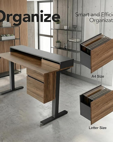 ErGear Electric 47 inch Standing Desk with Drawers and File Cabinet, Adjustable Stand up Desk with Storage, Ergonomic Sit Stand up Table Compatible Monitor Stand, Black Walnut