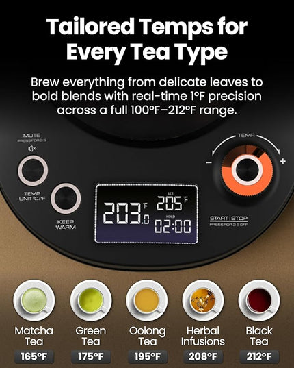 Vianté Electric Gooseneck Kettle with Precise Temperature Control. Pour Over Coffee & Tea Kettle. Boil-Dry Protection & Keep Warm Function. Stainless Steel, BPA-Free. Includes V60#2 Filters. 0.8L