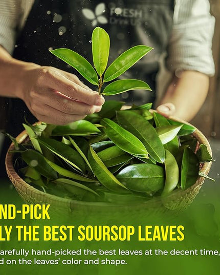 40 Premium Soursop Graviola Leaf Tea Bags, 100% Natural and Pure from Soursop Leaves, Handmade, Made With Natural Materials-Corn Fiber Tea Bag, Sugar/Caffeine/Gluten Free, Hoja Guanabana Tea
