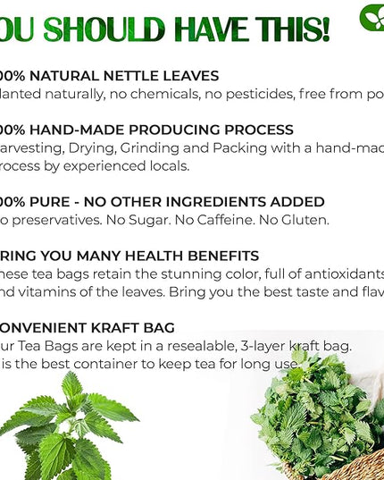FreshDrinkUS, Premium 75 Nettle Leaf Tea Bags, 100% Natural & Pure from Nettle Leaves. Loose Leaf Nettle Herbal Tea. Nettle Leaf Tea. No Sugar, No Caffeine, No Gluten, Vegan.