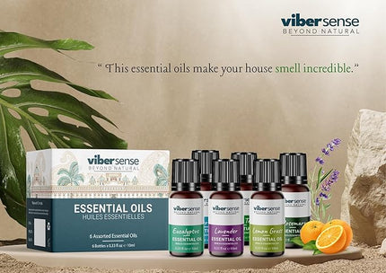 Essential Oils Set - Top 6 Blends for Diffusers, Home Care, Candle Making Scents, Fragrance, Aromatherapy, Humidifiers, Gifts -Rosemary,Eucalyptus,Tea Tree,Pepper Mint,Lemon Grass & Lavender 10ml