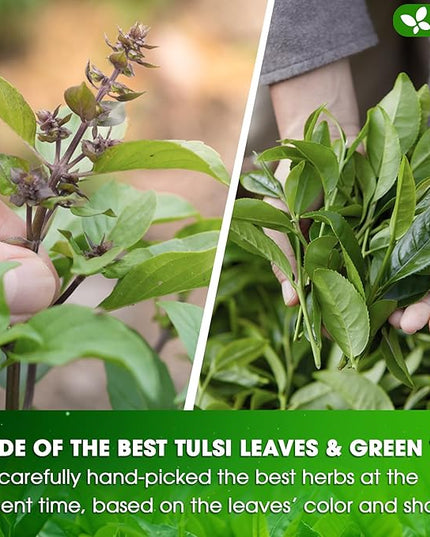 FreshDrinkUS, Premium 135 Tulsi Green Tea Bags, 100% Natural, Blend of Tulsi Holy Basil Leaves, and Green Tea Leaves. Made with Natural Material Tea Bags. No Sugar, Vegan.