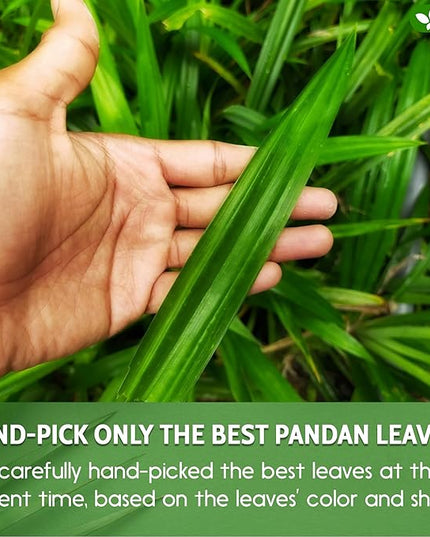 FreshDrinkUS, Premium 2oz Natural Pandan Leaves Dried, 100% Pure Dried Pandan Leaves, Pandan Leaf Tea, No Additives, No Caffeine, Vegan (2 oz Dried Leaves)