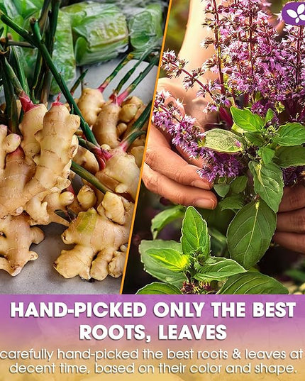 FreshDrinkUS, Premium 75 Ginger Tulsi Tea Bags, 100% Natural, Hand-made Blend of Ginger and Tulsi Holy Basil Leaves, Eco-conscious Tea Bags. Herbal Tea. No Sugar, No Caffeine, Vegan.