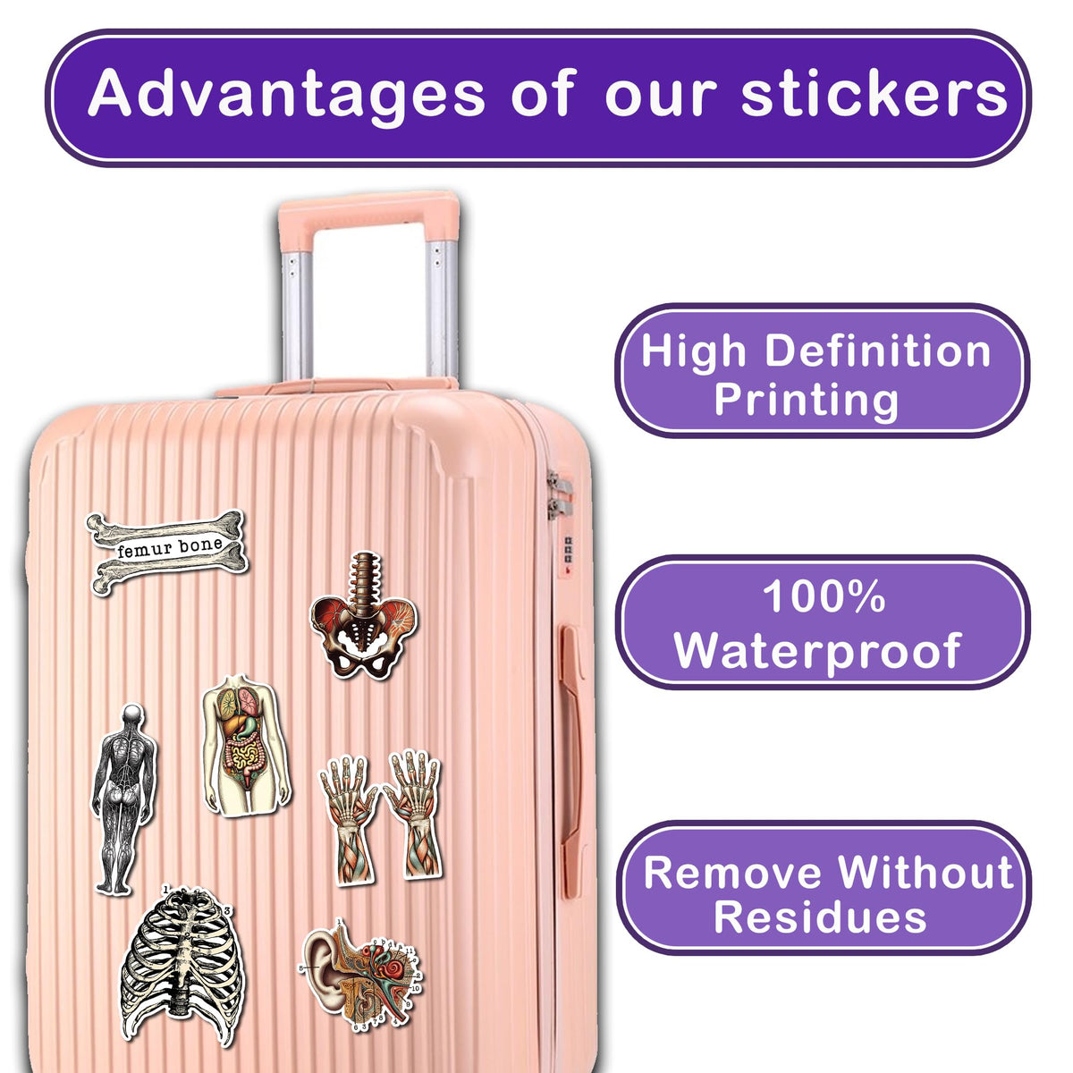 WESILY Pack 50 PCS Vintage Anatomy Stickers Aesthetic Human Skeleton Waterproof Sticker Vinyl Decals Patches Laptop Water Bottle Notebook Ephemera Scrapbooking Gifts for Kids Teens Adults