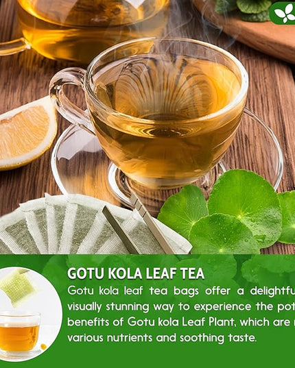 FreshDrinkUS, Premium Gotu Kola Leaf Tea – 75 Tea Bags | Pure Dried Centella Asiatica Leaves | Naturally Caffeine-Free Herbal Tea | Refreshing Aroma & Smooth Taste | Premium Herbal Infusion. Vegan