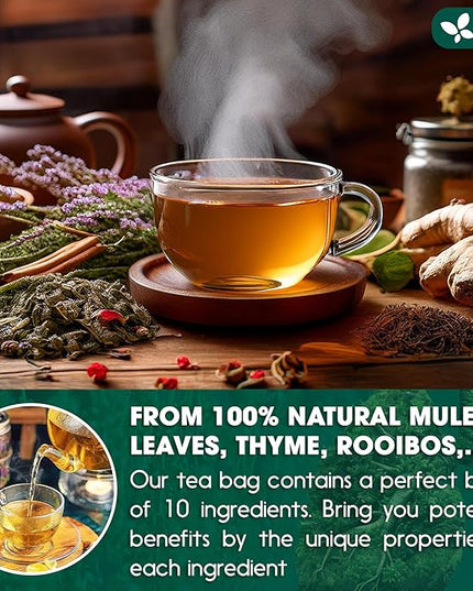 FreshDrinkUS StrongerLungs 20 Tea Bags - Mullein Leaf, Ginseng, Elderberry, Ginger & Thyme - Supports Lung Cleanse, Congestion Relief & Mucus Detox - Caffeine-Free & All-Natural