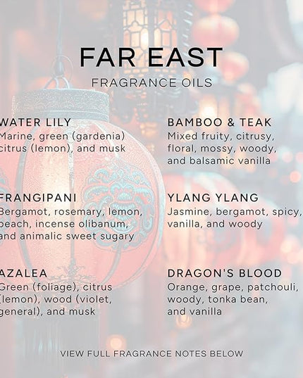 Eternal Essence Oils Far East Set of 6 Premium Fragrance Oils - Includes Water Lily, Bamboo & Teak, Frangipani, Azalea, Ylang Ylang and Dragon's Blood Scented Oils - 10ML