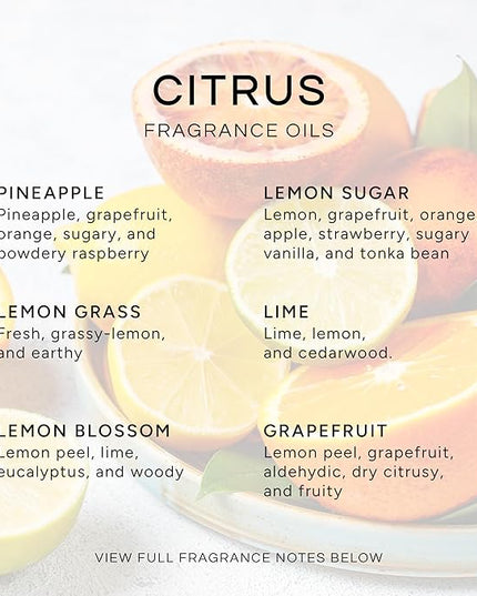 Eternal Essence Oils Citrus Set of 6 Premium Fragrance Oils - Lemon Grass, Blossom, Sugar, Lime, Grapefruit, and Pineapple - for Diffusers, Candle & Soap Making, & Aromatherapy - 10ML